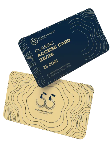 Imagen del diseño de las tarjetas de acceso