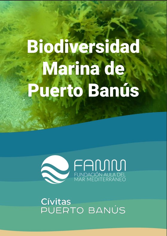 SAFE TOURISM CERTIFIED